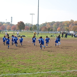 Fall 2010